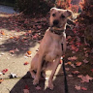 Meet your Posher, Talia